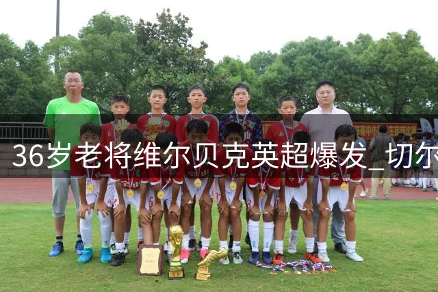 36岁老将维尔贝克英超爆发 切尔西为何盯上这位"高龄射手"？